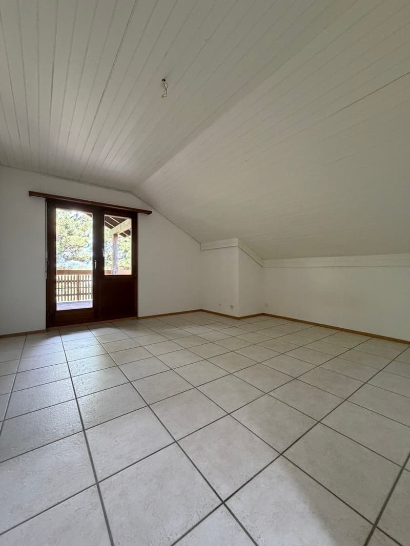 Charmant appartement en attique avec grande terrasse privée (6)