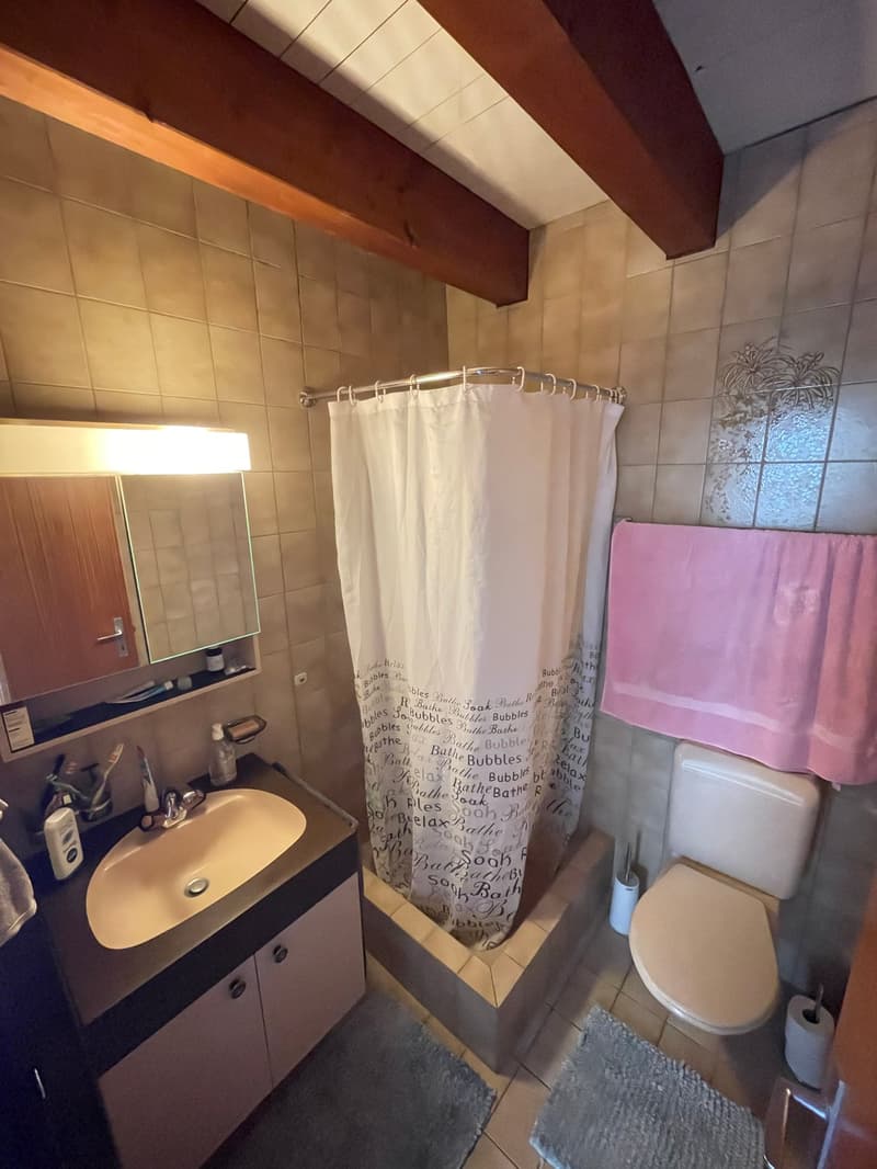Delizioso appartamento in mansarda con grande terrazza privata (8)