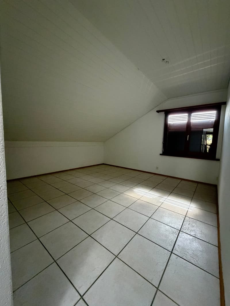 Charmant appartement en attique avec grande terrasse privée (11)