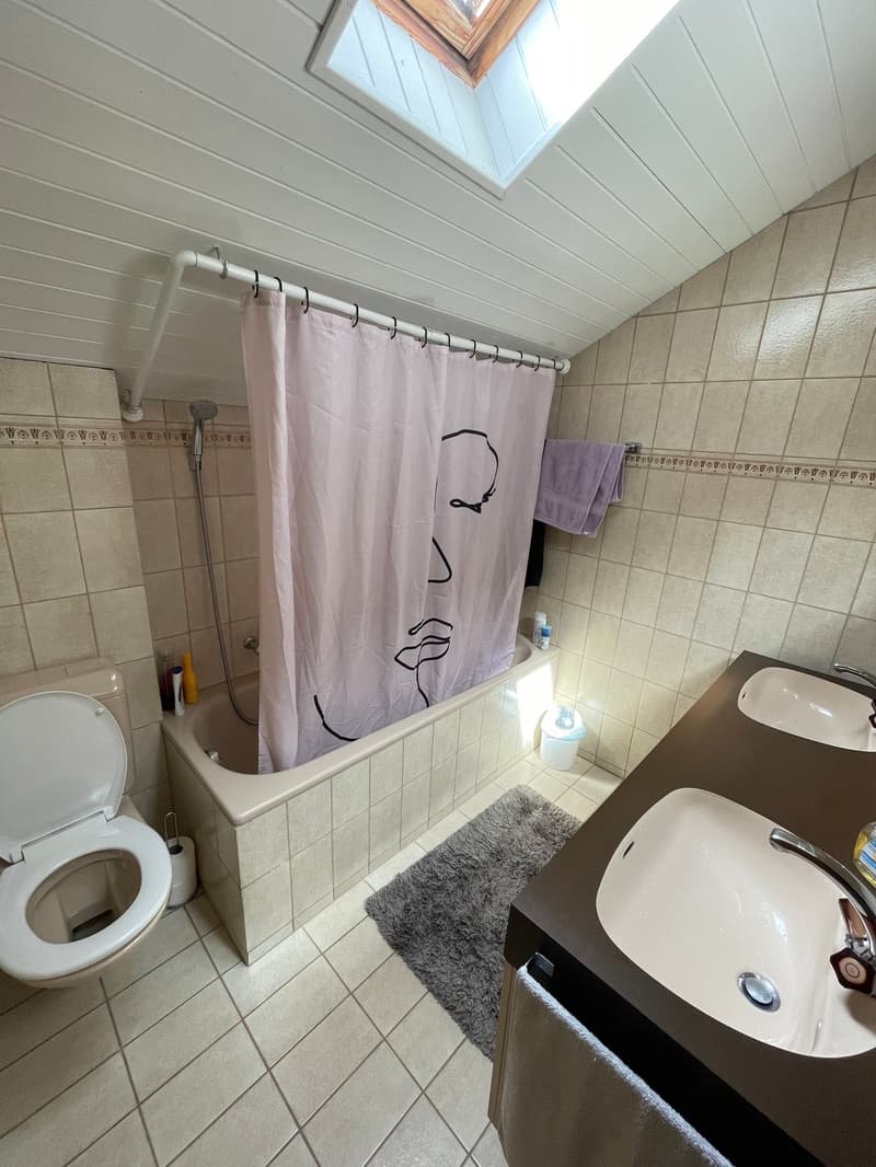 Delizioso appartamento in mansarda con grande terrazza privata (9)