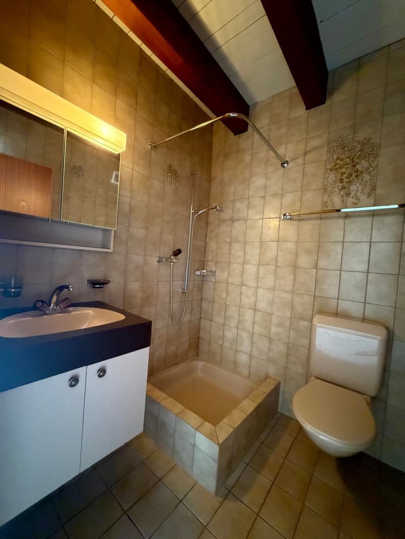 Charmant appartement en attique avec grande terrasse privée (7)