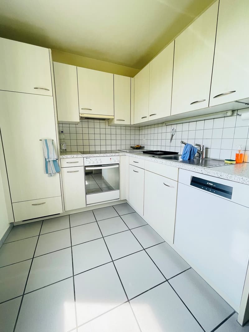 Appartamento tranquillo di 4 locali ad Arch (2)