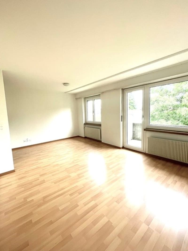 Appartement 3 pièces à Aegerten (4)