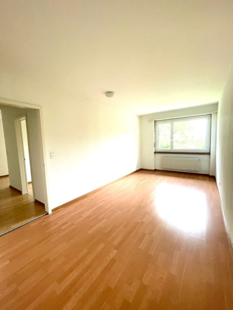 Appartement 3 pièces à Aegerten (6)