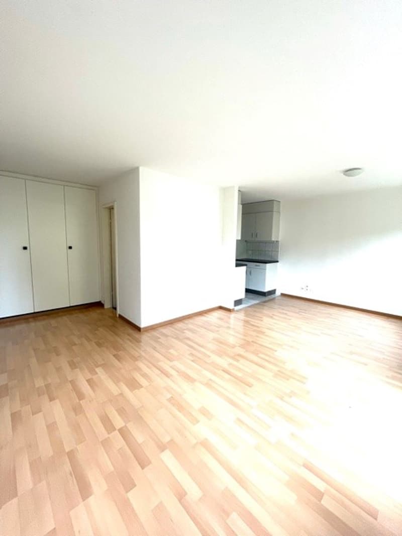Appartement 3 pièces à Aegerten (3)