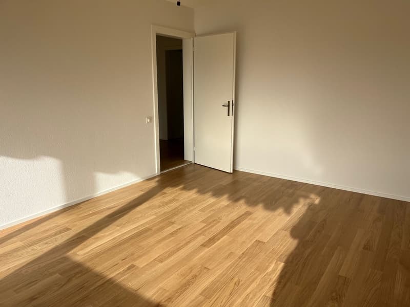 Pieterlen: appartement 3.5 pièces à louer (5)