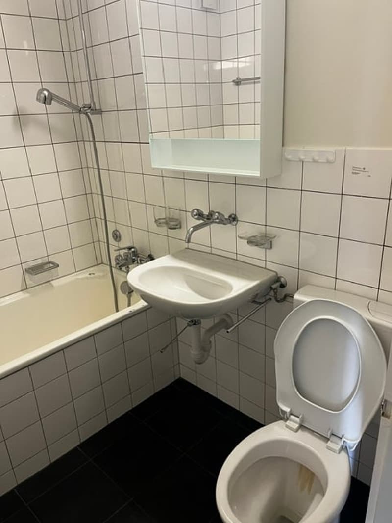 Appartement lumineux 2.5 pièces avec balcon à Brügg – disponible immédiatement ! (7)