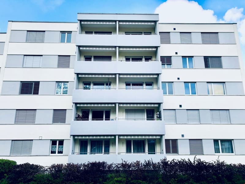 Attractive family apartment in a quiet neighborhood (2)