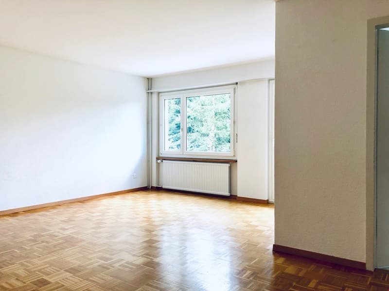 Attractive family apartment in a quiet neighborhood (8)