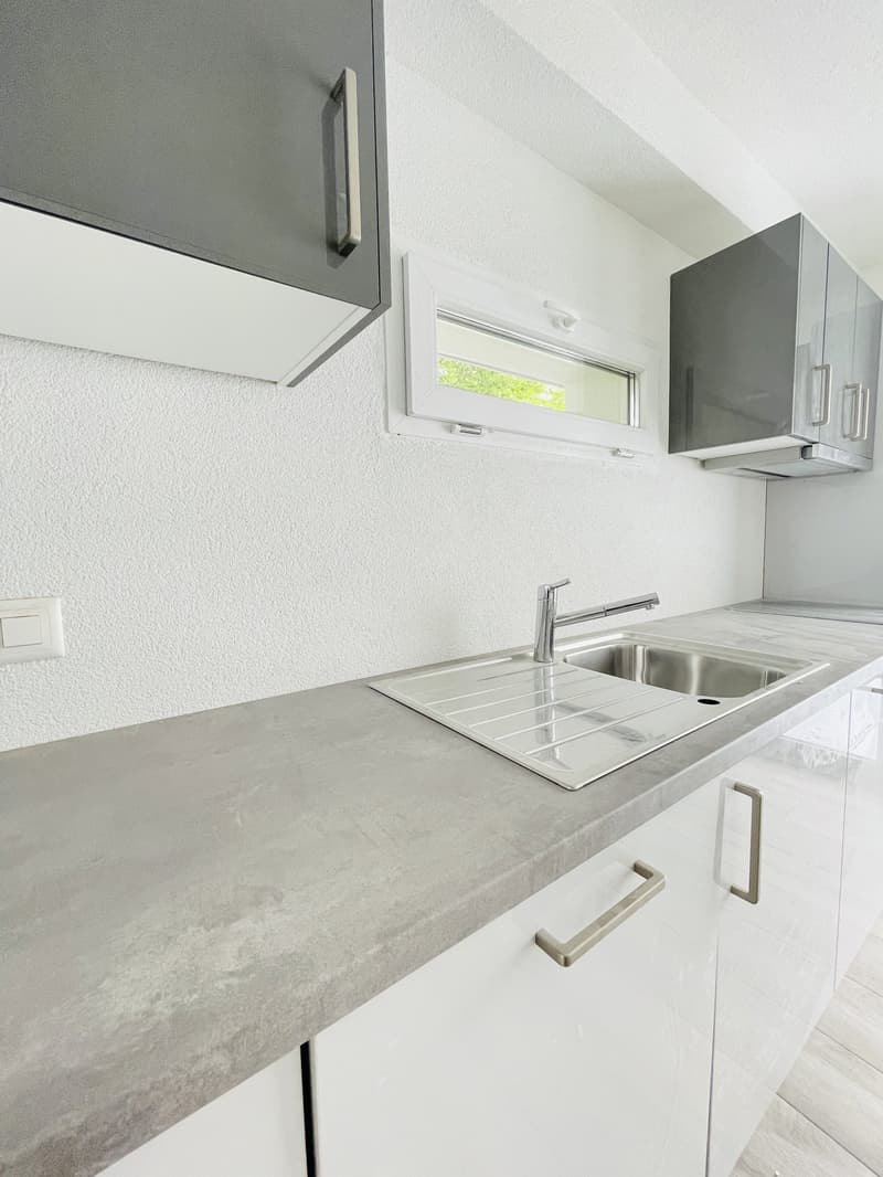 Appartamento di 1,5 locali al piano terra in una zona tranquilla (3)