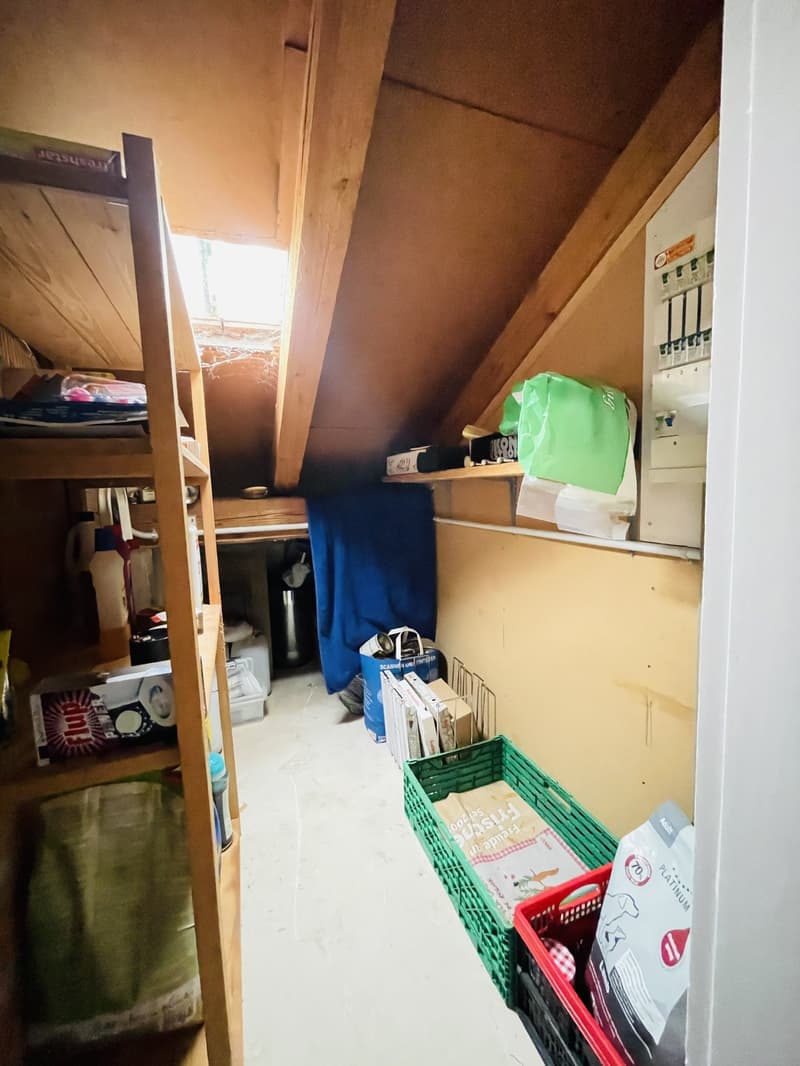 Appartamento di 3 camere nel sottotetto in una posizione tranquilla (8)