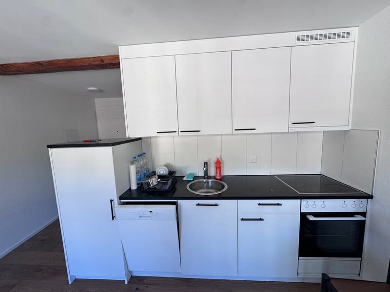 Appartement de 2 pièces rénové à Bözingen (1)