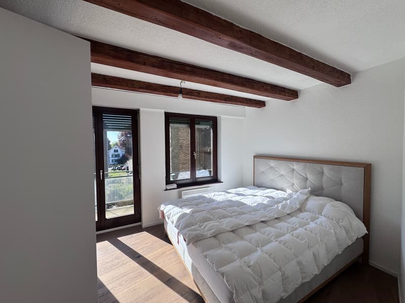 Appartement de 2 pièces rénové à Bözingen (5)