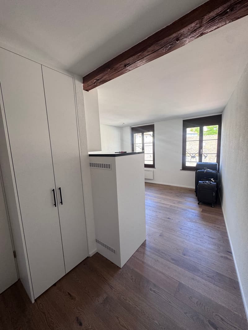 Appartement de 2 pièces rénové à Bözingen (3)