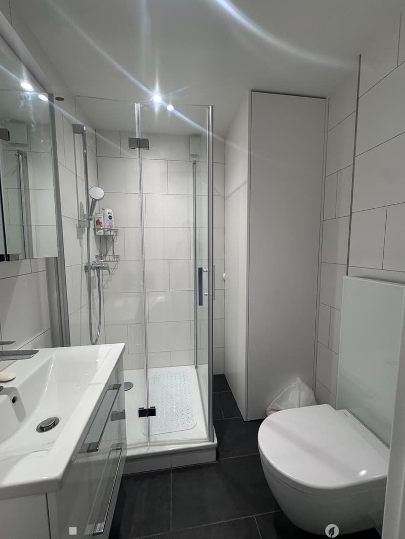 Renovierte 2-Zimmerwohnung in Bözingen (6)