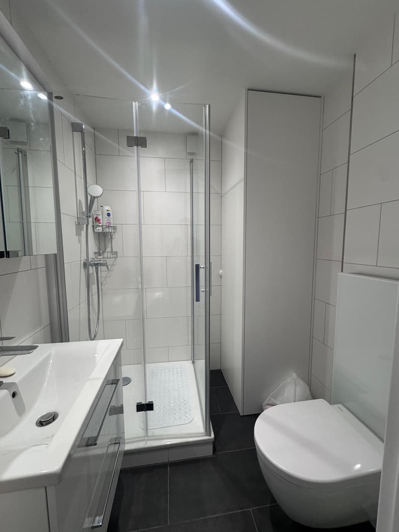 Appartement de 2 pièces rénové à Bözingen (6)