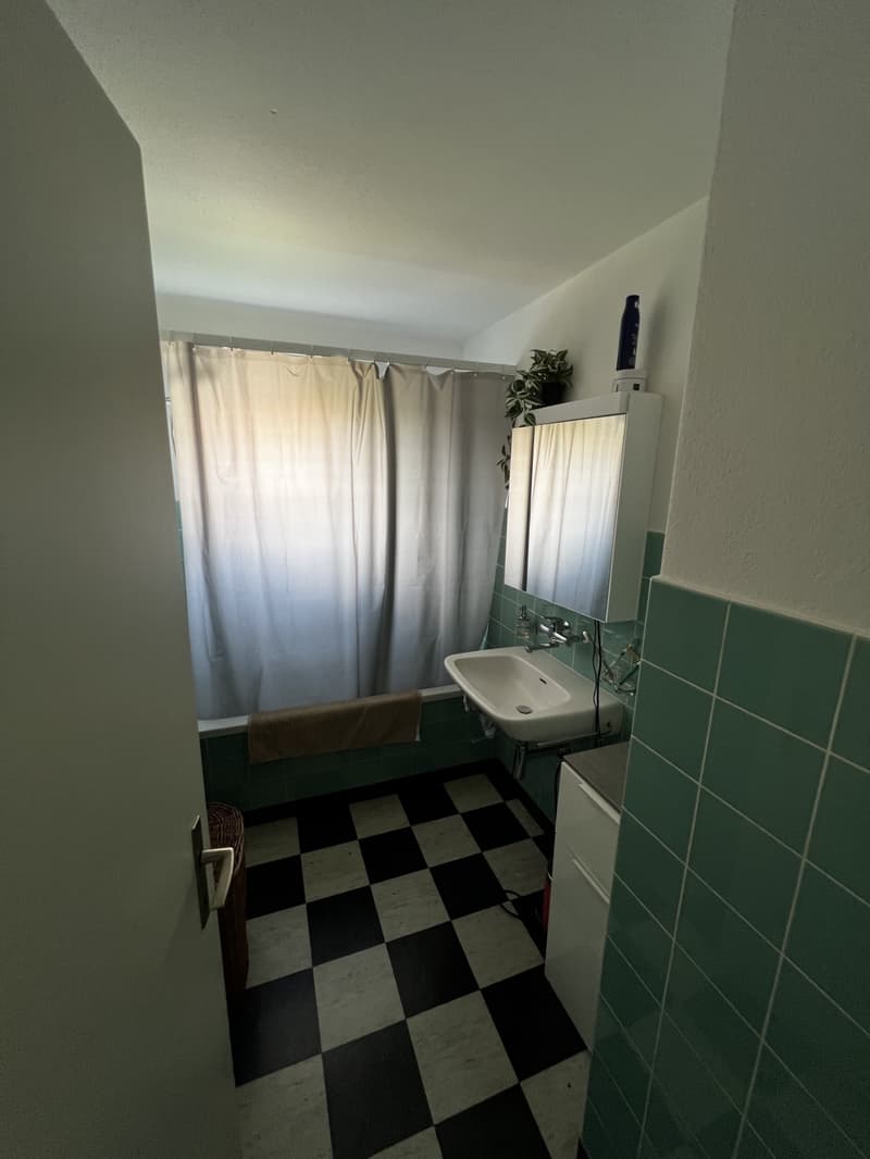 Appartement 3.5 pièces à Sutz-Lattrigen avec espace de jardin direct (4)