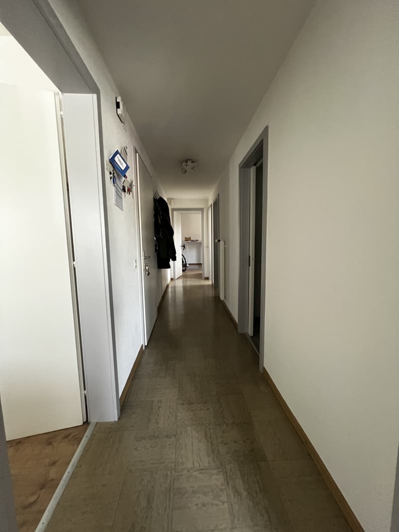 Appartement 3.5 pièces à Sutz-Lattrigen avec espace de jardin direct (7)