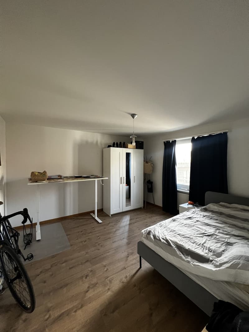 Appartement 3.5 pièces à Sutz-Lattrigen avec espace de jardin direct (6)