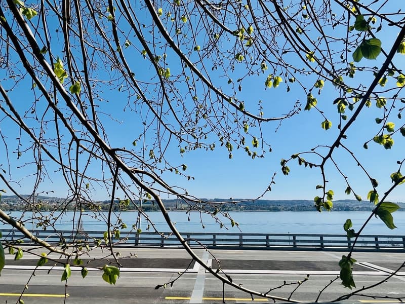 Appartement loft exceptionnel avec vue sur le lac de Bienne, environ 111m2 (12)