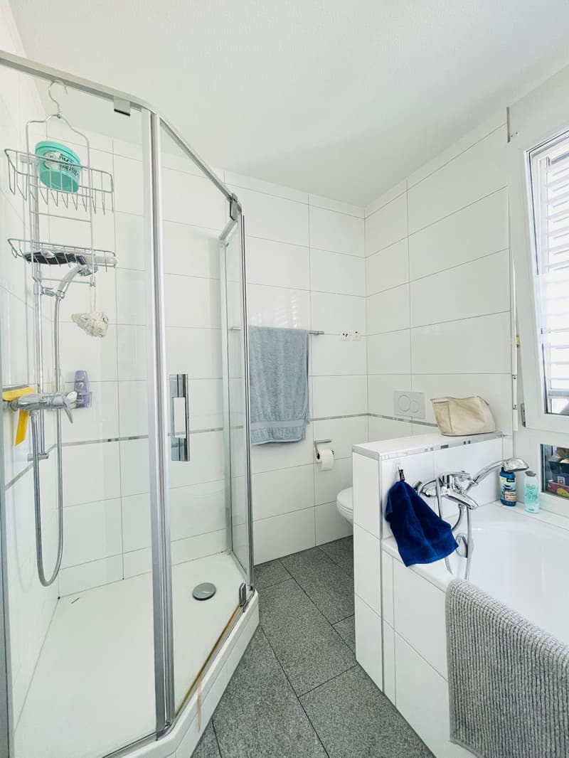 Busswil-Lyss, 3.5-Zimmer-Attikawohnung (6)