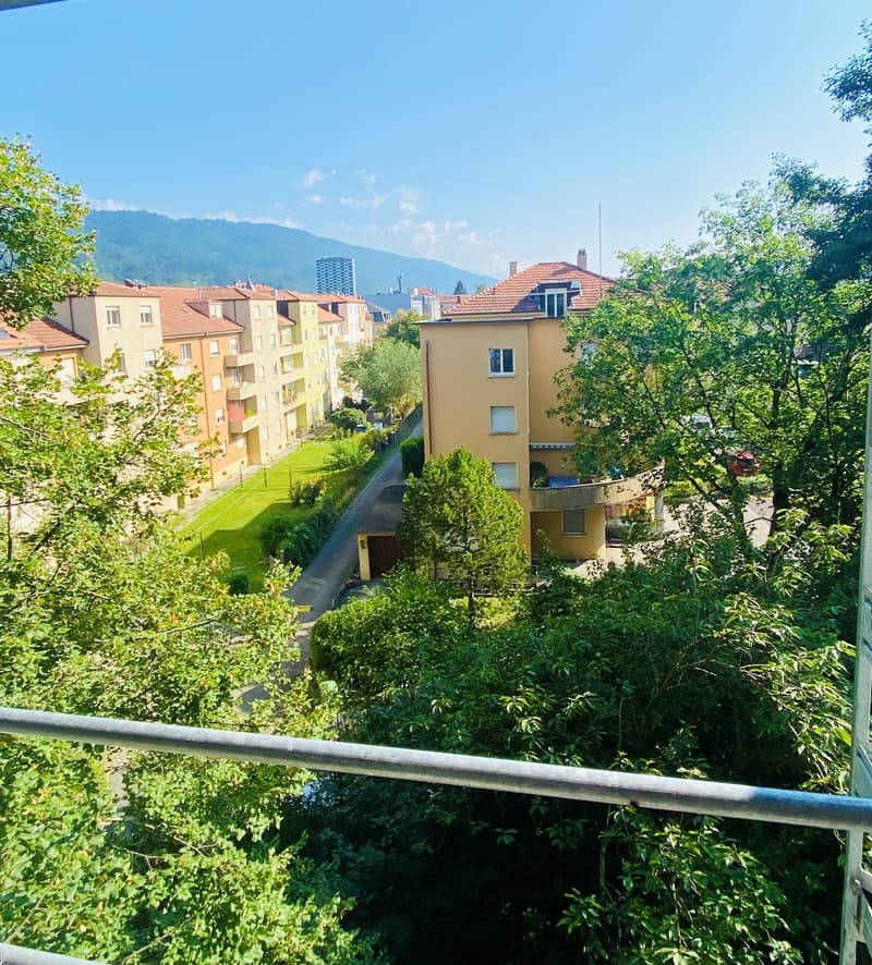 Renovated 2-room apartment directly on the city park (7)