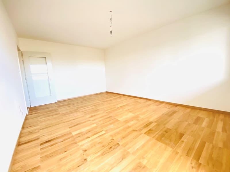 Renovated 2-room apartment directly on the city park (4)