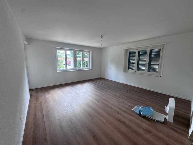 Sanierte 4.5-Zimmer-Wohnungen in Wangen bei Olten (3)