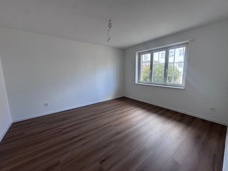 Sanierte 4.5-Zimmer-Wohnungen in Wangen bei Olten (4)