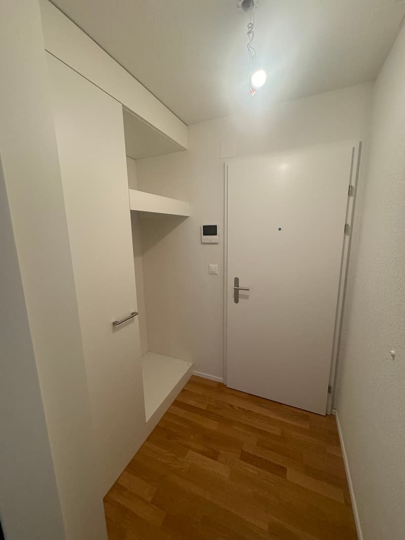 Appartamento ristrutturato di 1 camera con vista fantastica (5)
