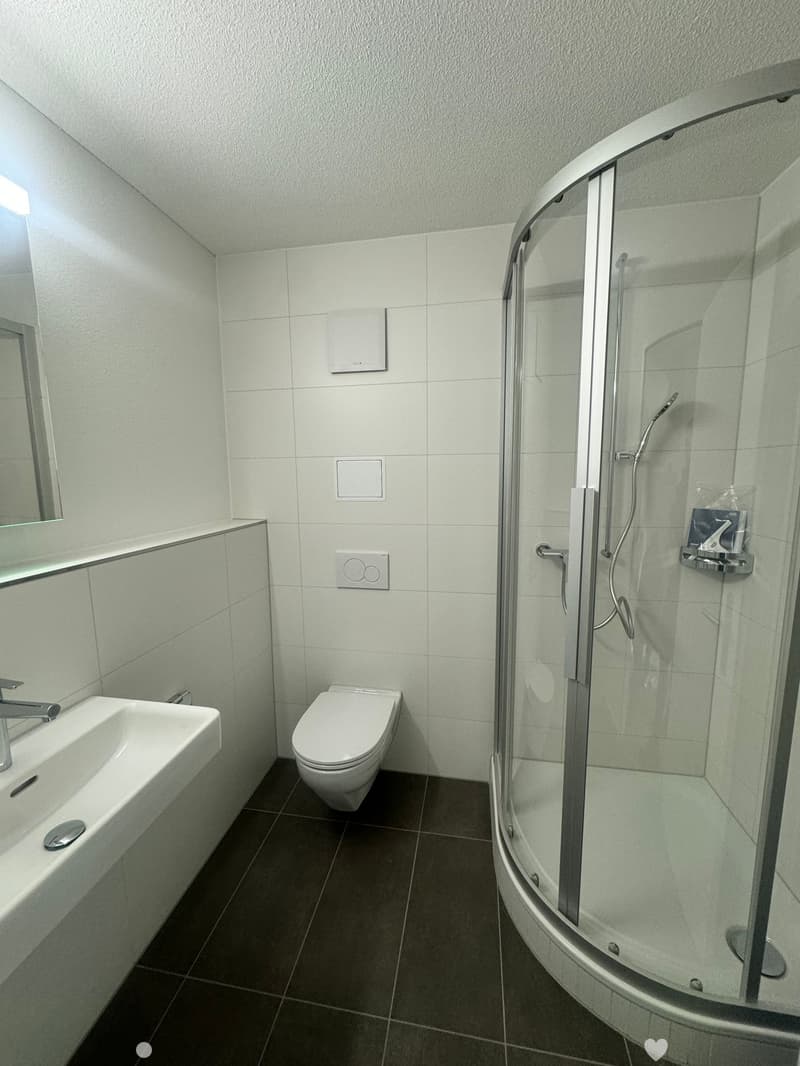Komplett renovierte 1-Zimmerwohnung im Mettquartier (3)