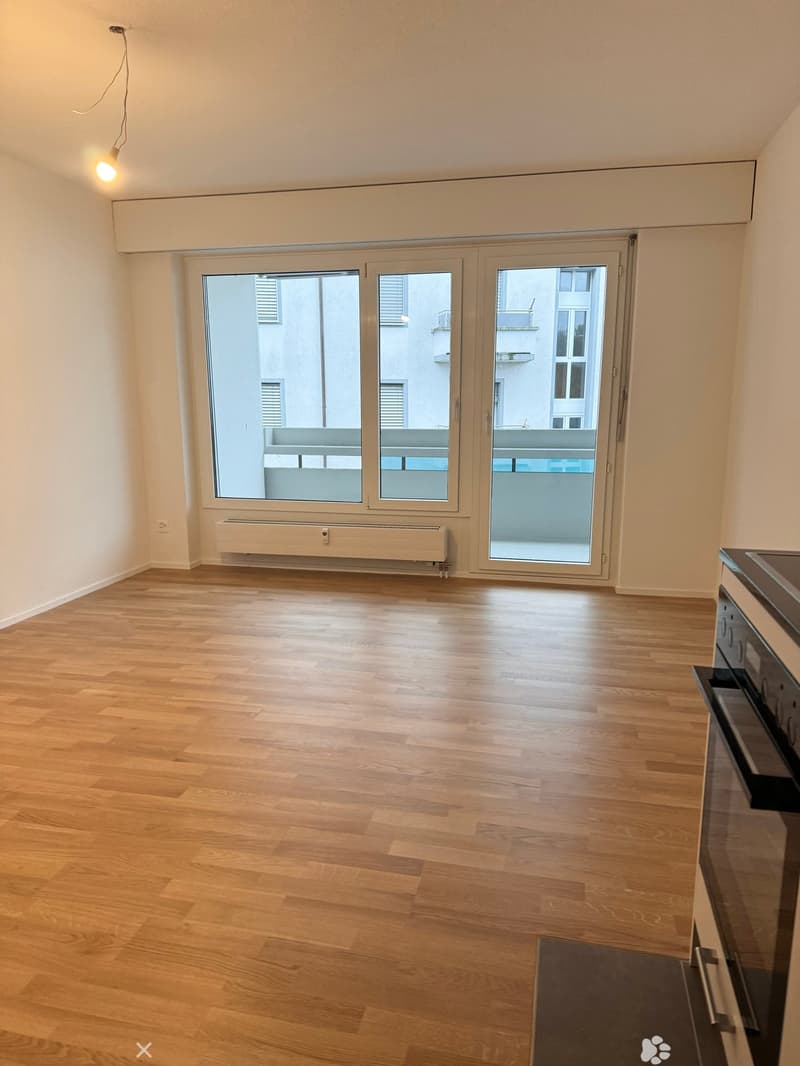 Komplett renovierte 1-Zimmerwohnung im Mettquartier (2)