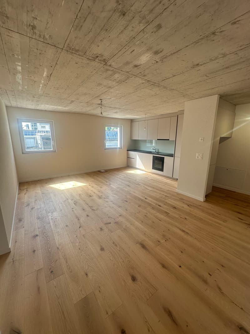 Newly renovated 2.5-room apartments (3)