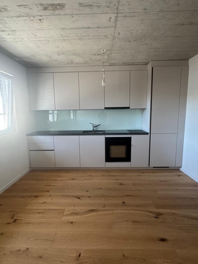 Newly renovated 2.5-room apartments (2)