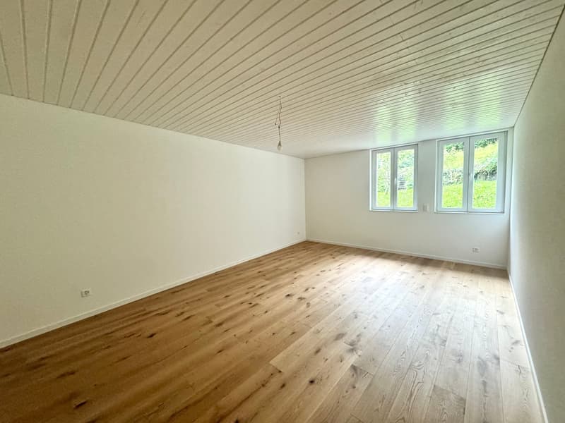 Newly renovated 2.5-room apartments (9)