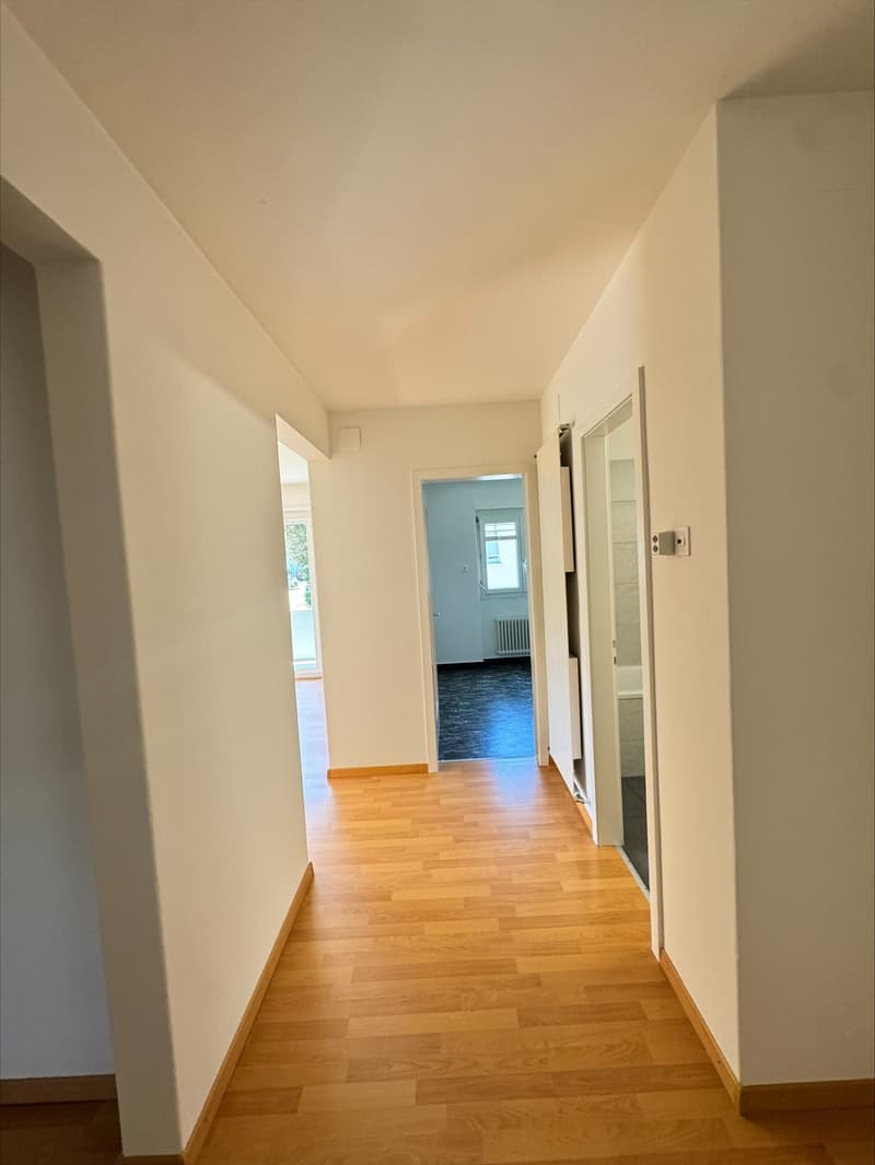 Renovierte 3.5-Zimmerwohnung an ruhiger Lage (5)
