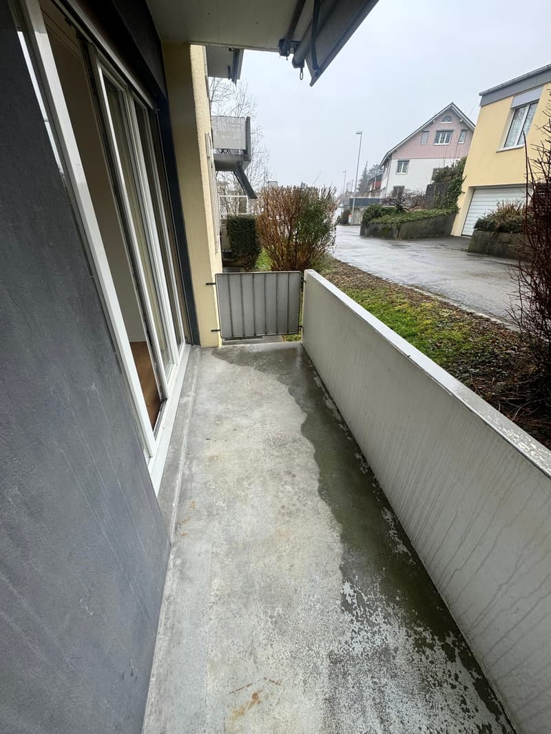 Renovated 3.5-room apartment in a quiet location (6)