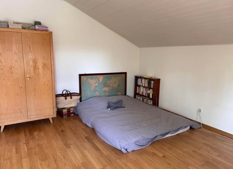Bright 1.5-room attic apartment in the popular and quiet Lindequartier (7)