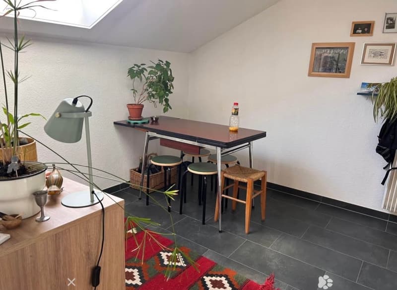 Helle 1.5-Zimmer-Dachwohnung im beliebten und ruhigen Lindequartier (2)