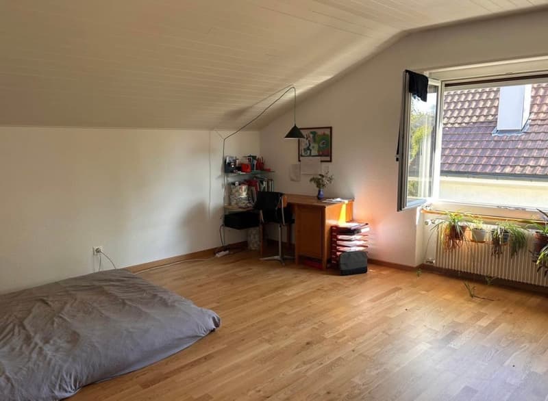Bright 1.5-room attic apartment in the popular and quiet Lindequartier (6)