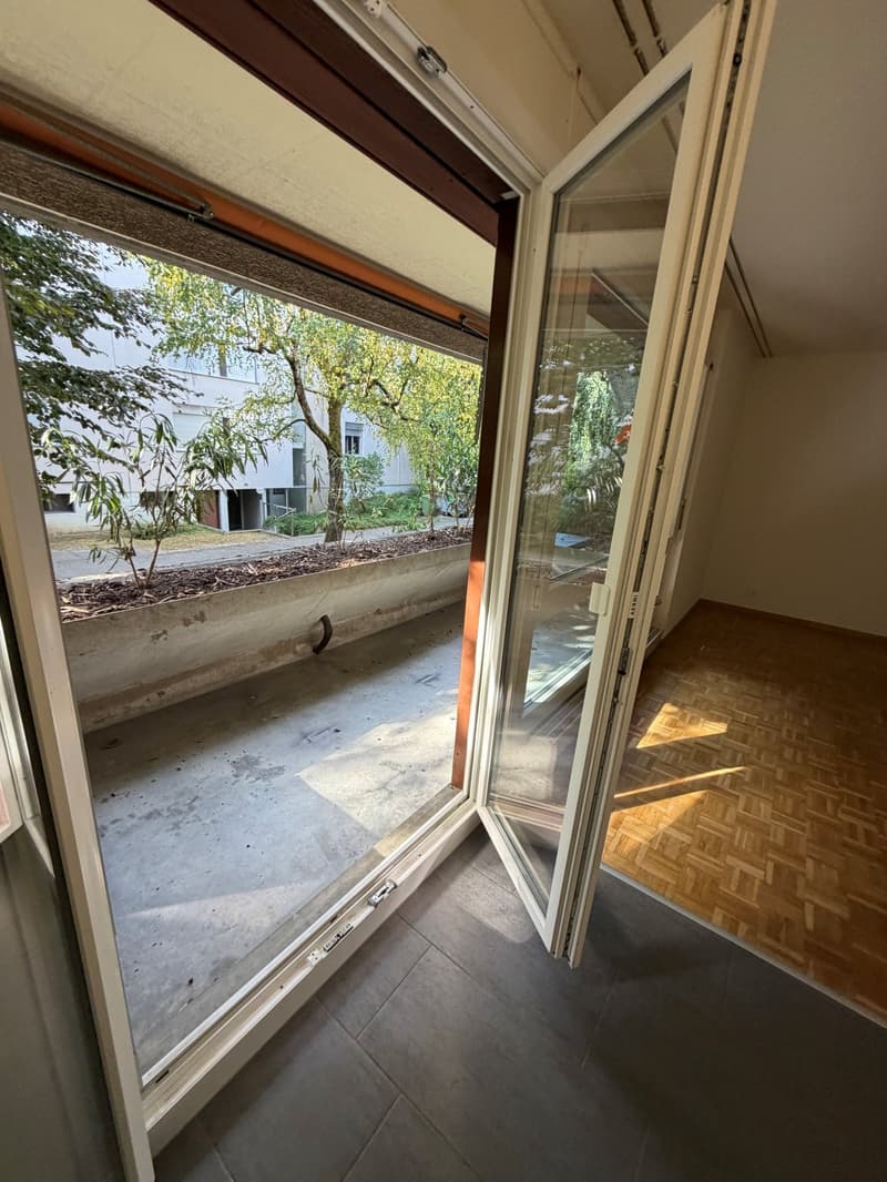 Appartamento accogliente di 3,5 locali con balcone o giardino (4)