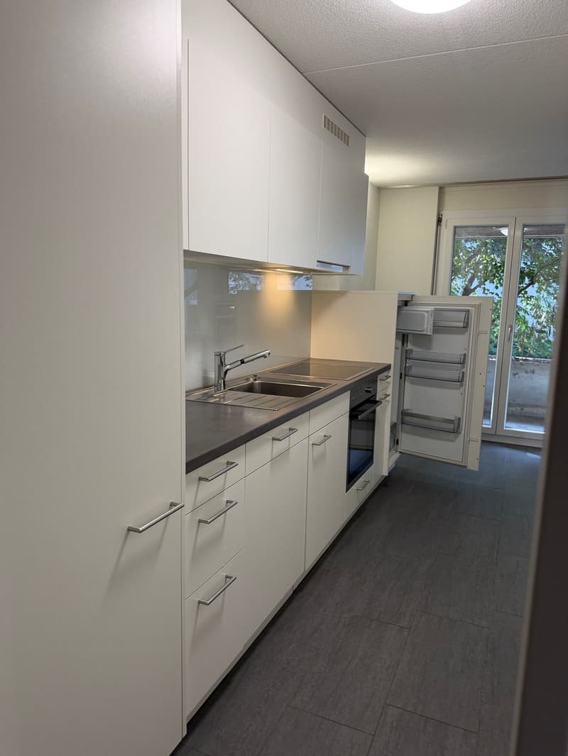 Appartamento accogliente di 3,5 locali con balcone o giardino (2)