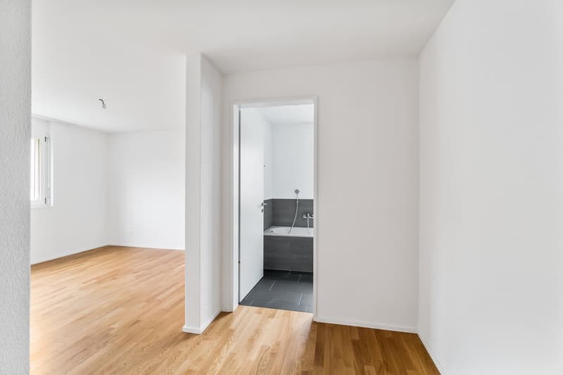TOP APPARTEMENT MODERNE 4.5 PIÈCES À HERZOGENBUCHSEE (7)