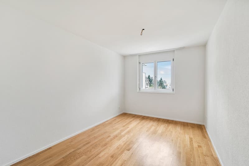 TOP APPARTEMENT MODERNE 4.5 PIÈCES À HERZOGENBUCHSEE (9)