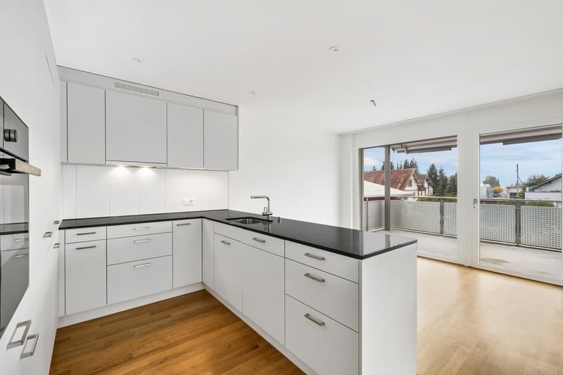 TOP APPARTEMENT MODERNE 4.5 PIÈCES À HERZOGENBUCHSEE (3)