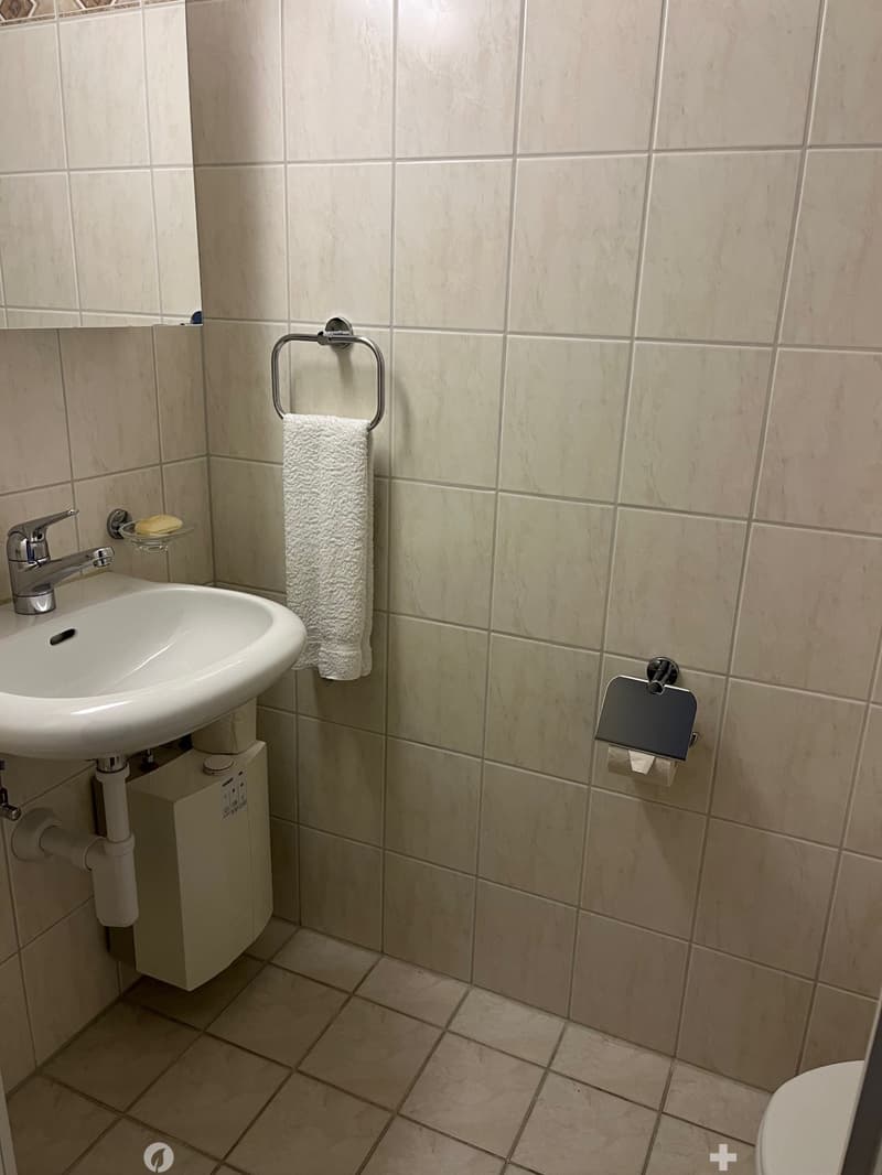 small bathroom with sink, mirror, and toilet