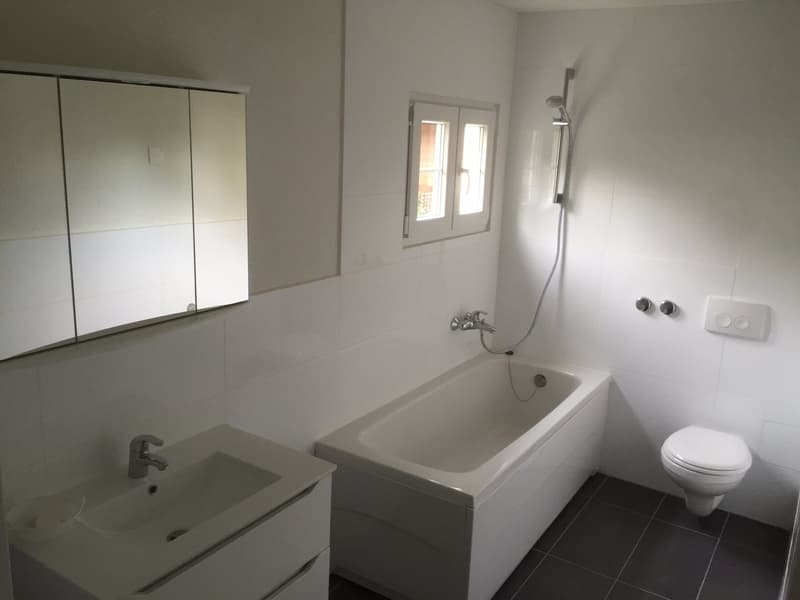 Charmant appartement 2.5 pièces à Belp (3)