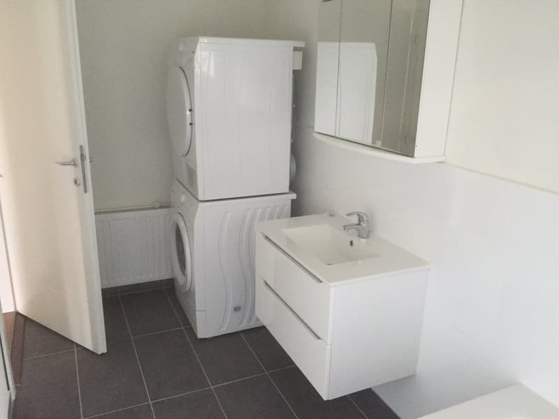Charmant appartement 2.5 pièces à Belp (4)