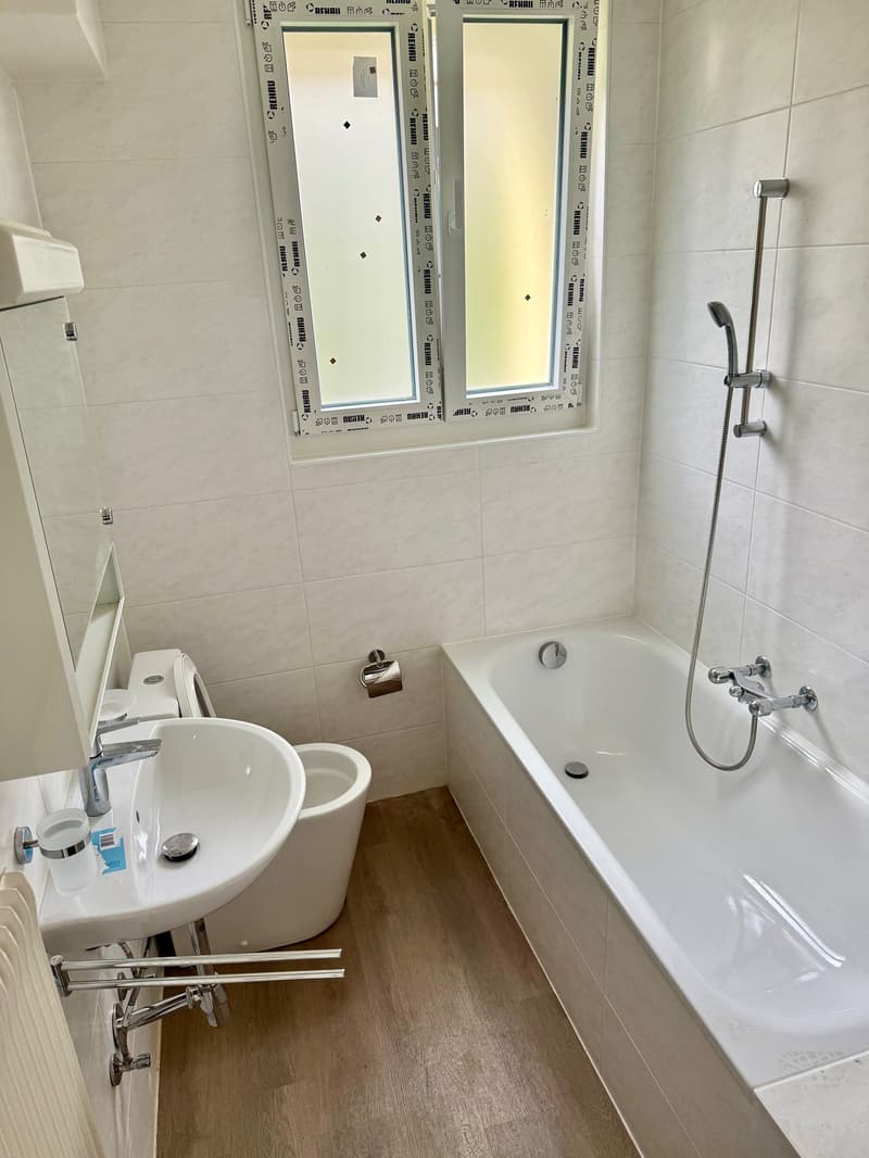 Central and quiet 2.5-room apartment on the ground floor (4)