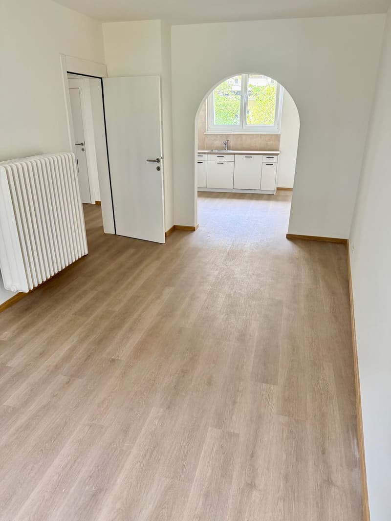 Central and quiet 2.5-room apartment on the ground floor (2)